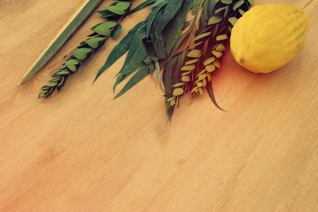 Jewish festival of Sukkot. Traditional symbols (The four species): Etrog, lulav, hadas, aravaの写真素材