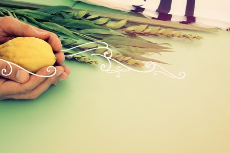 Jewish festival of Sukkot. Traditional symbols (The four species): Etrog, lulav, hadas, aravaの写真素材