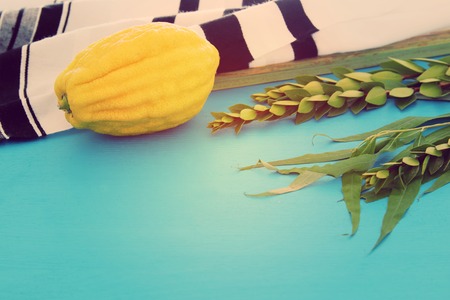 Jewish festival of Sukkot. Traditional symbols (The four species): Etrog, lulav, hadas, arava