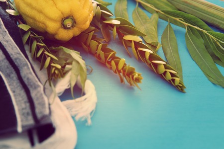 Jewish festival of Sukkot. Traditional symbols (The four species): Etrog, lulav, hadas, aravaの写真素材