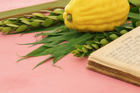 Jewish festival of Sukkot. Traditional symbols (The four species): Etrog, lulav, hadas, aravaの写真素材