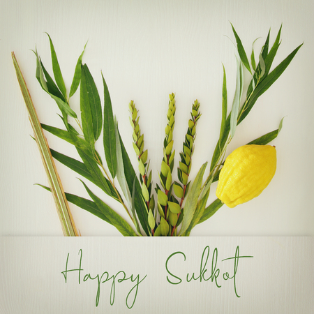 Jewish festival of Sukkot. Traditional symbols (The four species): Etrog, lulav, hadas, aravaの写真素材