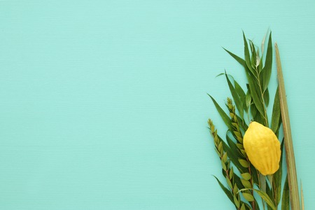 Jewish festival of Sukkot. Traditional symbols (The four species): Etrog, lulav, hadas, aravaの写真素材