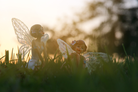 image of magical little fairy in the forest at sunsetの写真素材