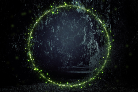 Abstract and magical image of Firefly flying in the night forest. Fairy tale conceptの写真素材