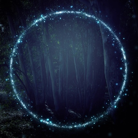 Abstract and magical image of Firefly flying in the night forest. Fairy tale concept