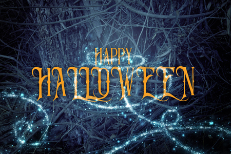 Halloween mysterious background of dark and haunted forest with textの写真素材