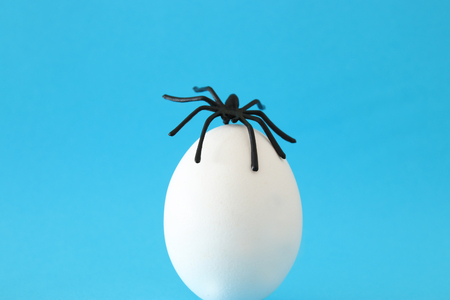 Minimal and funny Halloween holiday concept. White egg with spider on topの写真素材