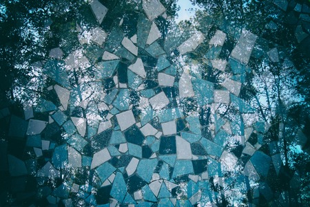 Double exposure and abstract image of trees at the forest and mosaic tilesの写真素材