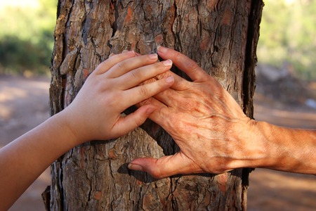 Image of old woman and a kid holding hands together through a walk in the forestの写真素材