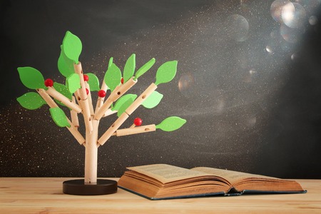 Open book and wooden tree puzzle over blackboard background. Education and knowledge conceptの写真素材