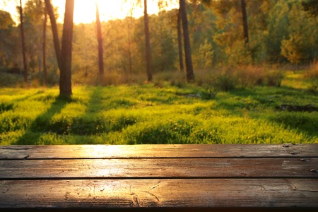 Image of front rustic wood boards and background forest.の写真素材
