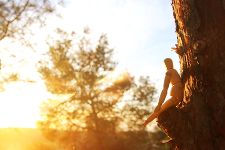 concept of vision and different thinking. wooden dummy sitting on top of tree peak looking forwardの写真素材