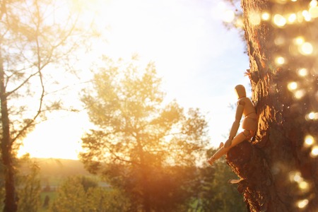 concept of vision and different thinking. wooden dummy sitting on top of tree peak looking forwardの写真素材
