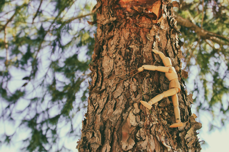 concept of vision and different thinking. wooden dummy sitting on top of tree peak looking forward