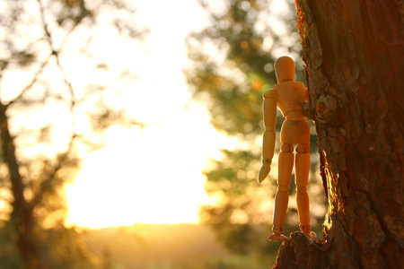 Concept of vision and different thinking. wooden dummy standing on top of tree peak looking forwardの写真素材
