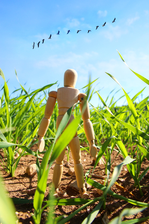 Photo of wooden dummy standing in field looking forward at flying birds. Think big and dream conceptの写真素材