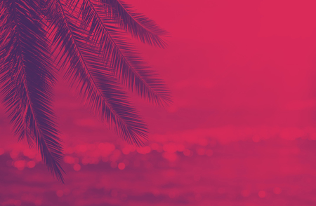 Abstract duo-tone photo of palm leaves over bokeh tropical sea wavesの写真素材