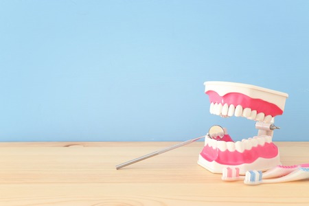 Dental care tools use for dentist and plastic teeth model in the clinic. Wooden blue backgroundの写真素材