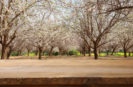 Wooden table in front of spring blossom tree landscape. Product display and presentationの写真素材