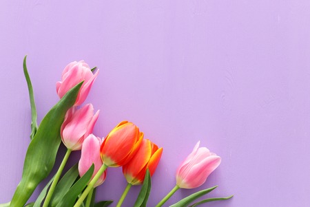 bouquet of orange and pink tulips over pastel purple wooden background. Top view
