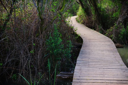 Old wooden path or bridge over river and through tropical forest