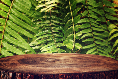 Wooden table in front of tropical green floral background. For product display and presentationの写真素材