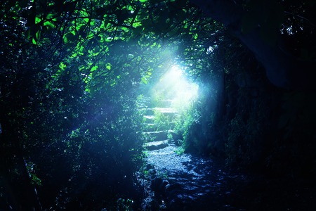 Road and stone stairs in magical and mysterious dark forest with mystical sun light. Fairy tale conceptの写真素材
