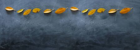 Empty blackboard background with outumn leaves. top viewの写真素材