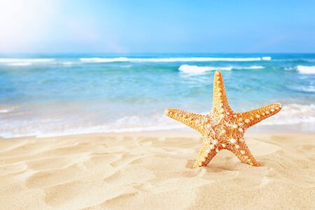 Holidays. Sand beach and starfish in front of summer sea background with copy space