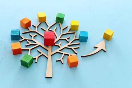 Business image of wooden tree with colorful cubes over blue table, human resources and management conceptの写真素材