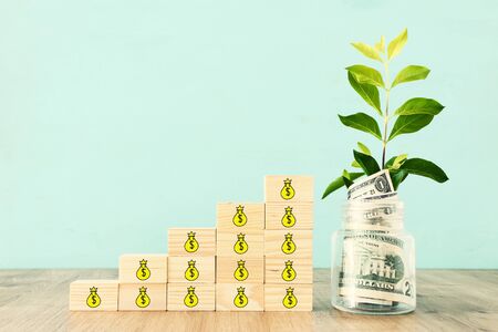 Business image of plant growing in savings jar, money investment and financial growth concept