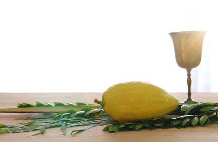 Jewish festival of Sukkot. Traditional symbols (The four species): Etrog, lulav, hadas, aravaの写真素材