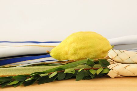 Jewish festival of Sukkot. Traditional symbols (The four species): Etrog, lulav, hadas, arava