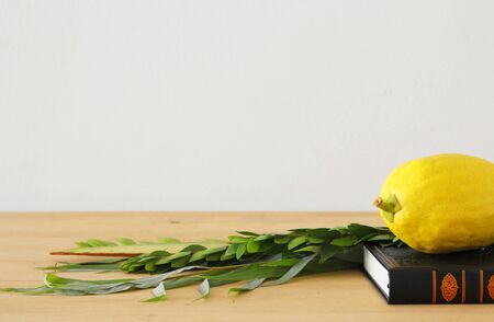 Jewish festival of Sukkot. Traditional symbols (The four species): Etrog, lulav, hadas, arava