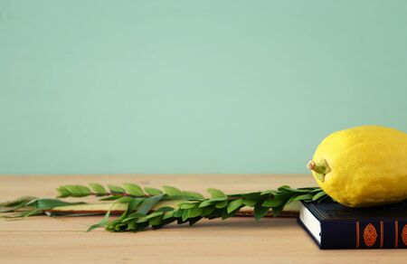 Jewish festival of Sukkot. Traditional symbols (The four species): Etrog, lulav, hadas, arava