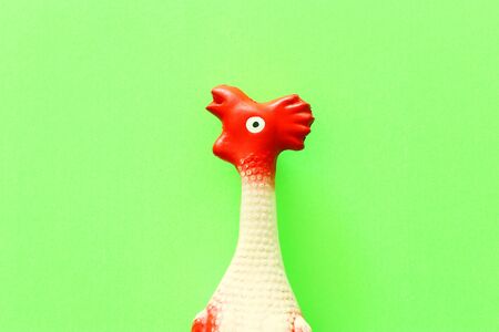funny background of rubber chicken toy on green pastel table