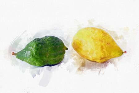 religion image of Jewish festival of Sukkot. Traditional symbol one of the four species: citron...