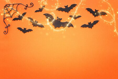 holidays concept of Halloween. Black bats over orange background. Top view, flat layの写真素材