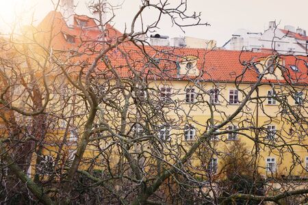 Prague with old house and bare trees at winterの写真素材