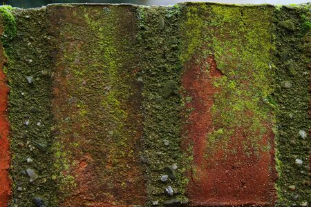 Background of old brick wall covered with mossの写真素材