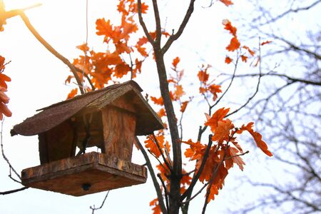 Wooden bird house on the tree at winter timeの写真素材