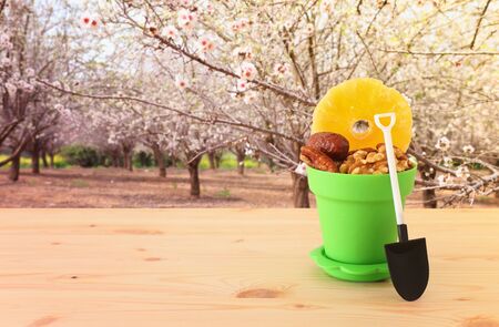 Symbols of judaic holiday Tu Bishvat, mix of dried fruits and nuts over wooden table