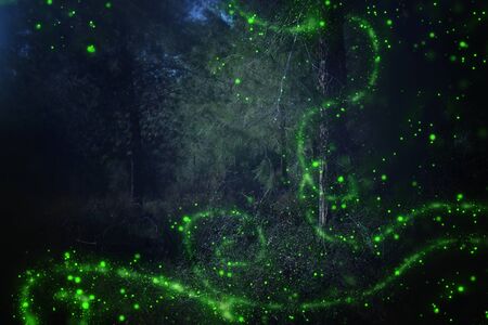 Abstract and magical image of Firefly flying in the night forest. Fairy tale conceptの写真素材
