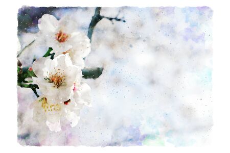 watercolor style and abstract image of cherry tree flowersの写真素材