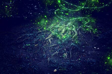 Abstract and magical image of Firefly flying in the night forest. Fairy tale concept