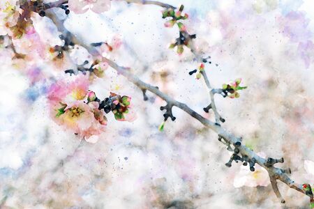watercolor style and abstract image of cherry tree flowersの写真素材