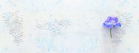 spring blue with purple flower over white vintage wooden background. top view, flat layの写真素材