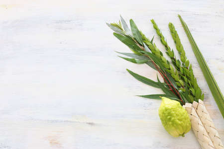 Jewish festival of Sukkot. Traditional symbols (The four species): Etrog (citron), lulav (palm branch), hadas (myrtle), arava (willow)の写真素材