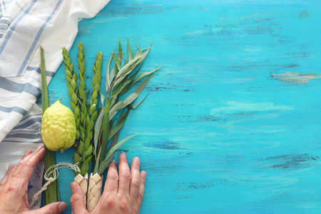 Jewish festival of Sukkot. Traditional symbols (The four species): Etrog (citron), lulav (palm branch), hadas (myrtle), arava (willow)の写真素材